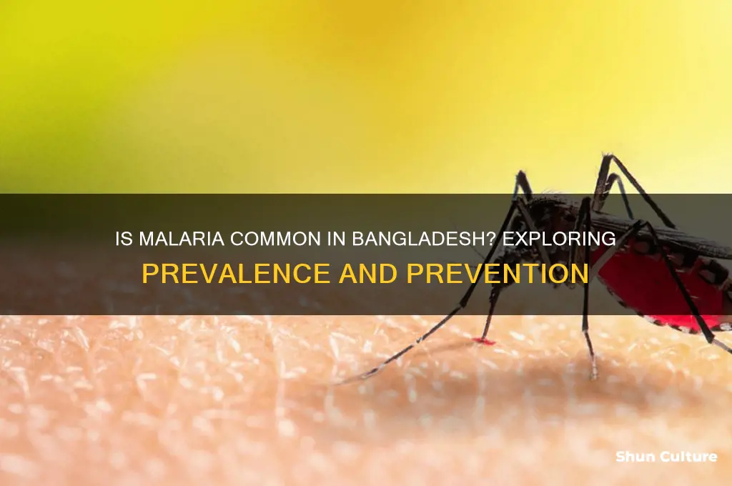 is maalaria common in bangladesh