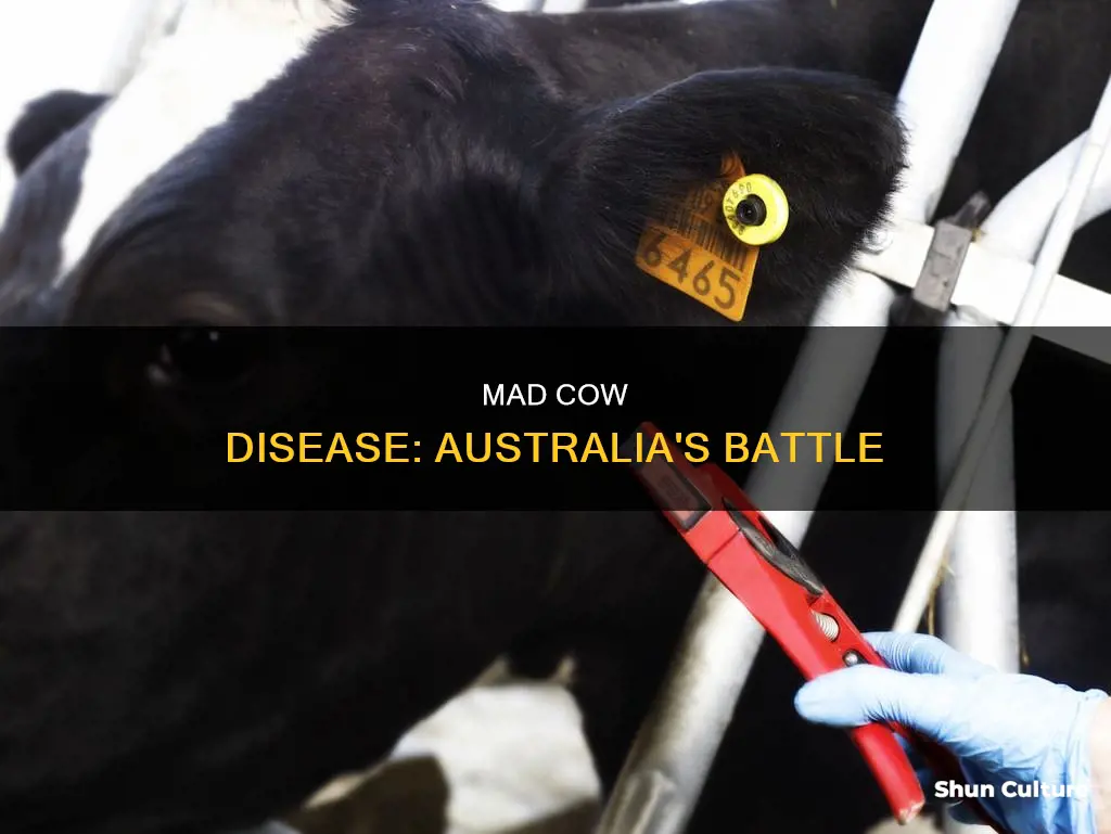 is mad cow disease in australia
