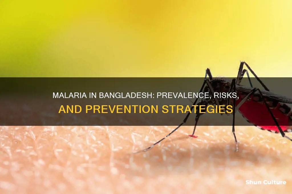 is malaria common in bangladesh
