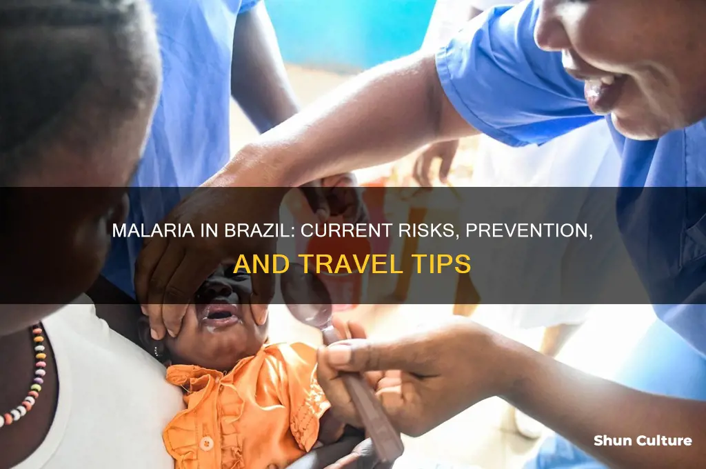 is malaria in brazil