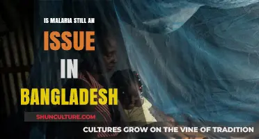 Malaria in Bangladesh: Current Status and Ongoing Challenges