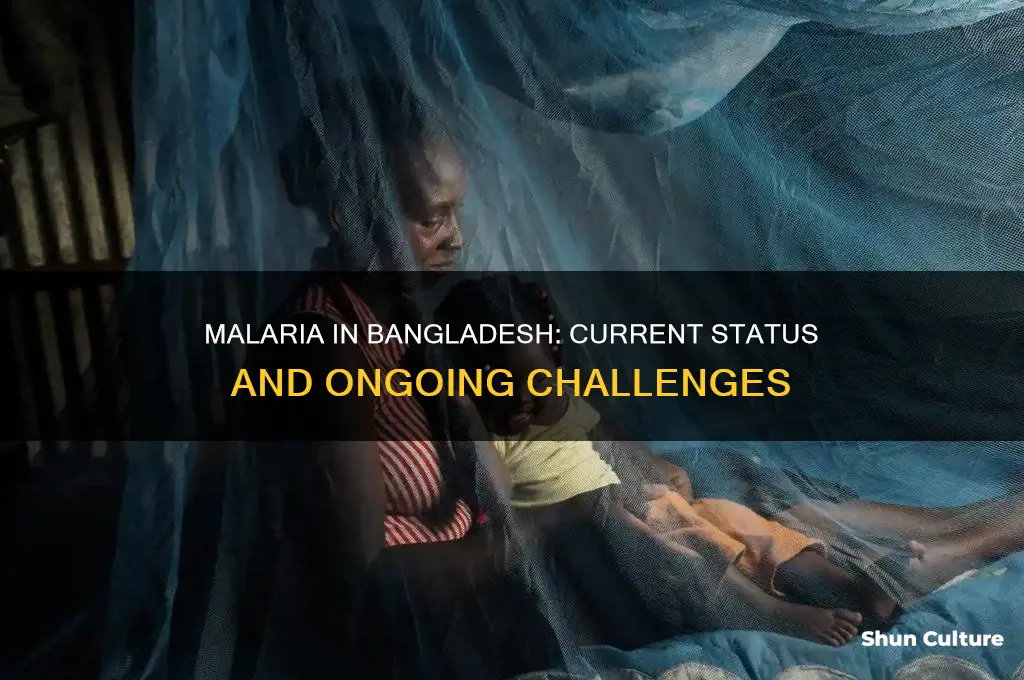 is malaria still an issue in bangladesh