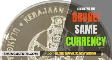 Currency Confusion: Malaysia and Brunei's Monetary Identity