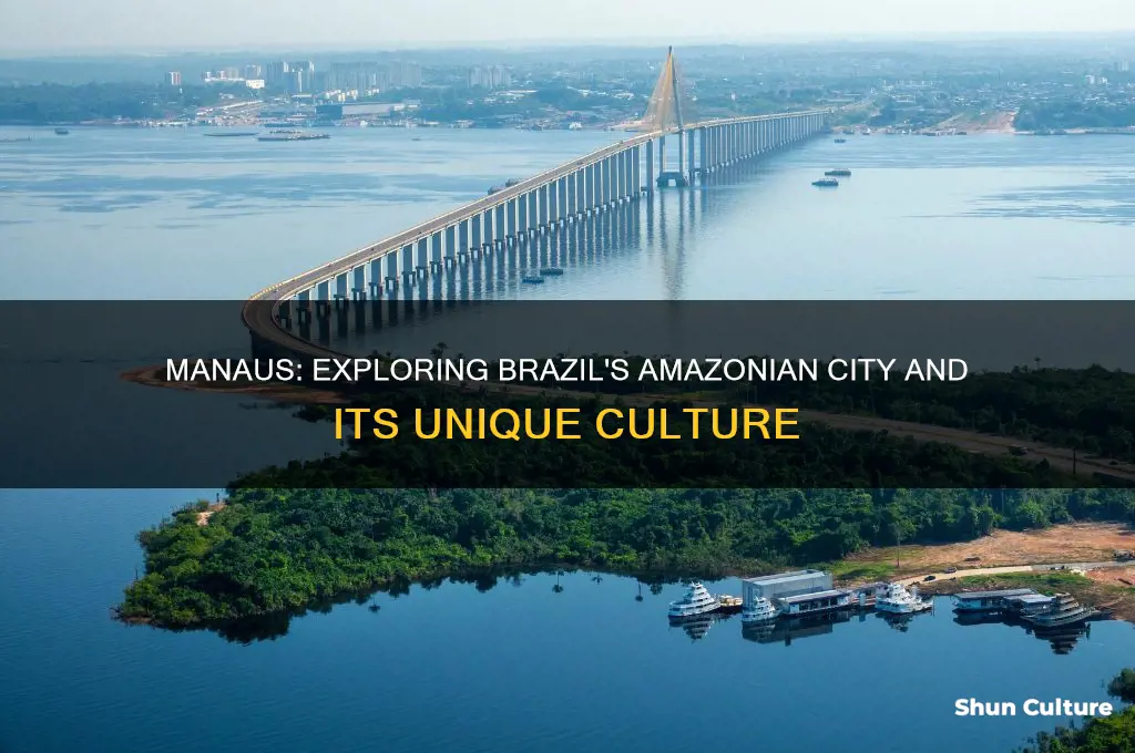 is manaus a city in brazil