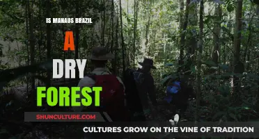 Exploring Manaus: Is Brazil's Amazon City Surrounded by Dry Forest?