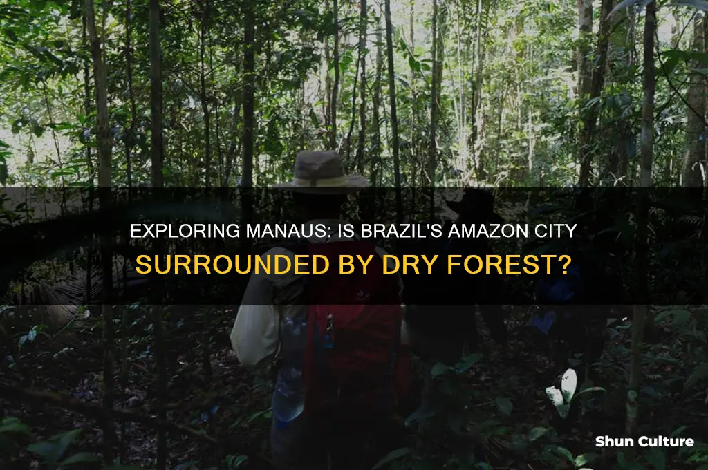 is manaus brazil a dry forest
