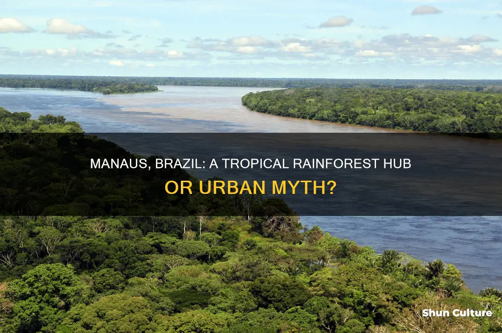 is manaus brazil a tropical rainforest