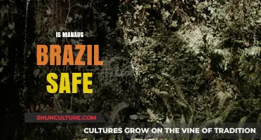 Is Manaus, Brazil Safe? Exploring Security and Travel Tips