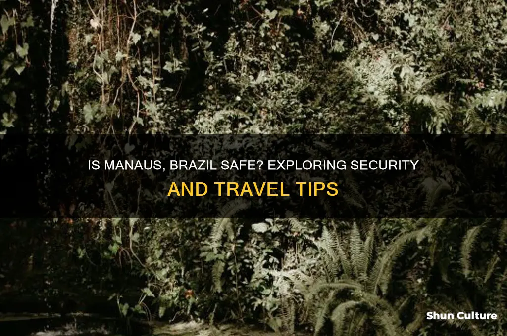 is manaus brazil safe