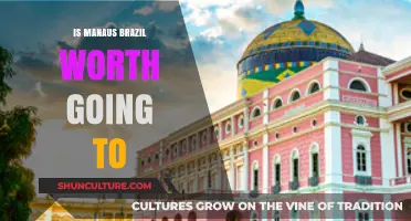 Discover Manaus, Brazil: Is This Amazonian Gem Worth Visiting?