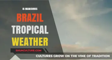 Exploring Brazil's Tropical Climate: Is Mancurus a Weather Paradise?