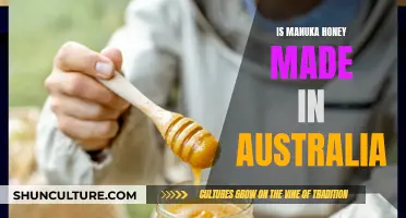 Manuka Honey: Australia's Golden Treasure
