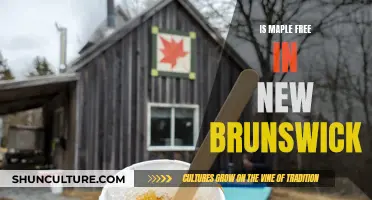 Maple Syrup: New Brunswick's Free Treat
