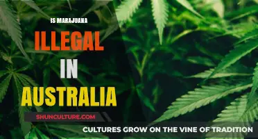 Marijuana Laws in Australia: What's the Deal?