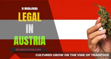 Marijuana Laws in Austria: What's the Verdict?