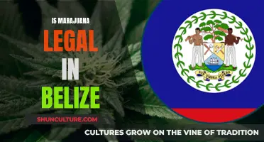 Belize's Marijuana Laws: Understanding the Legal Landscape