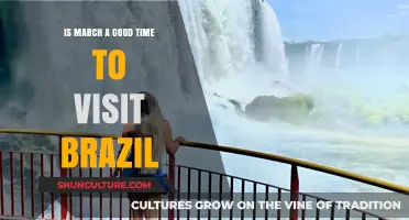 March in Brazil: Ideal Weather, Festivals, and Travel Tips