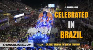 Mardi Gras in Brazil: Exploring Carnival's Cultural Connections and Celebrations