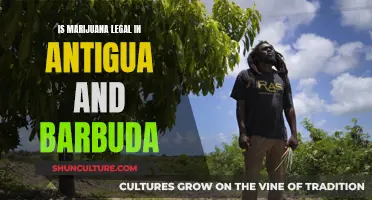 Marijuana Laws in Antigua and Barbuda: What's the Verdict?