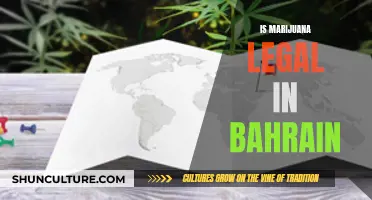 Marijuana in Bahrain: Legal or Not?