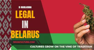 Marijuana Legality in Belarus: What's the Current Status?