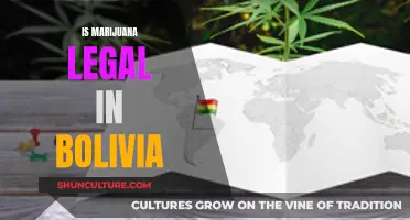 Marijuana in Bolivia: What's the Legal Status?