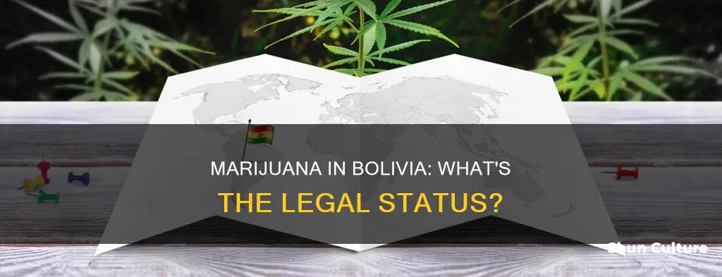 is marijuana legal in bolivia