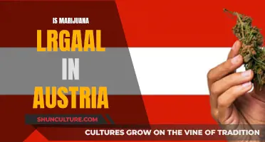 Marijuana in Austria: What's the Legal Status?