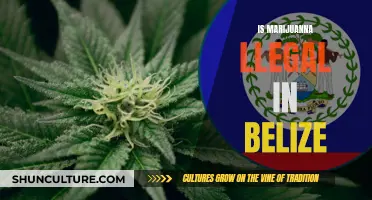 Weed and Wander: Exploring Marijuana Laws in Belize