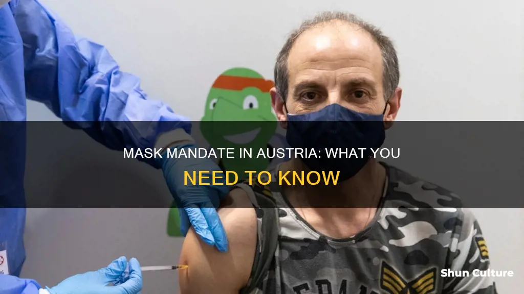 is mask wearing mandatory in austria