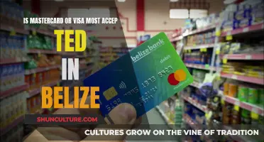 Belize's Preferred Payment Method: Visa vs. Mastercard