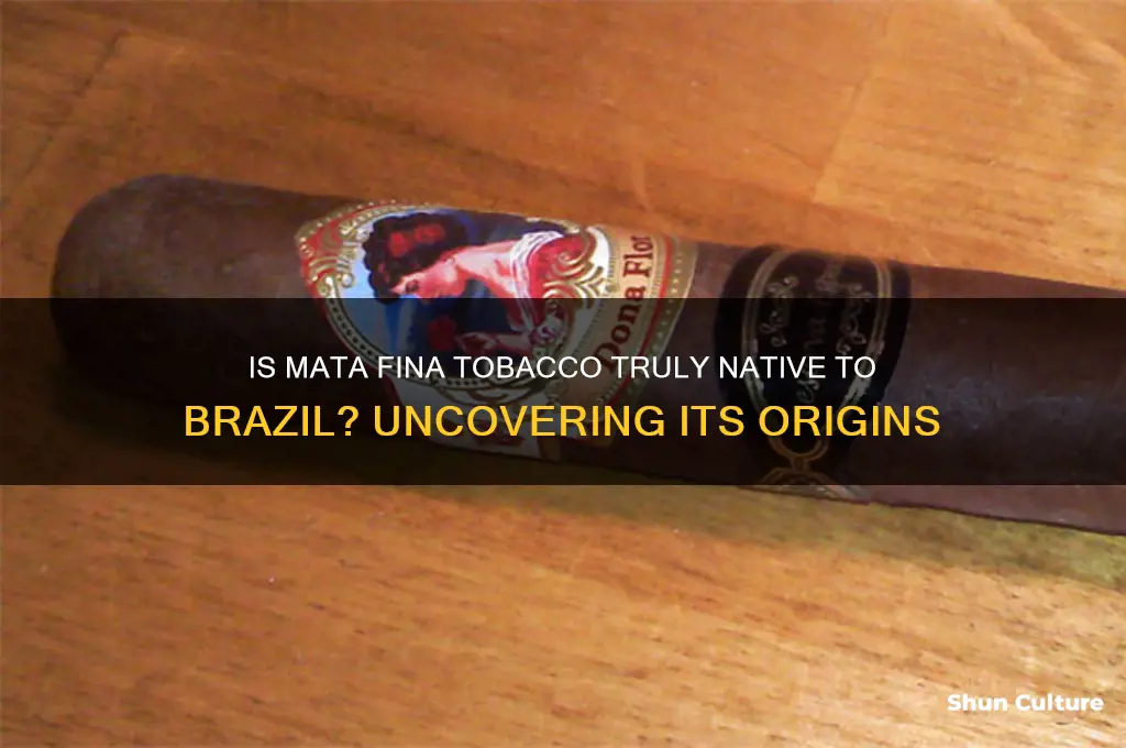 is mata fina native to brazil