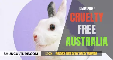 Maybelline: Cruelty-Free in Australia?