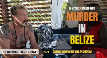 Murder in Paradise: McAfee's Dark Turn in Belize