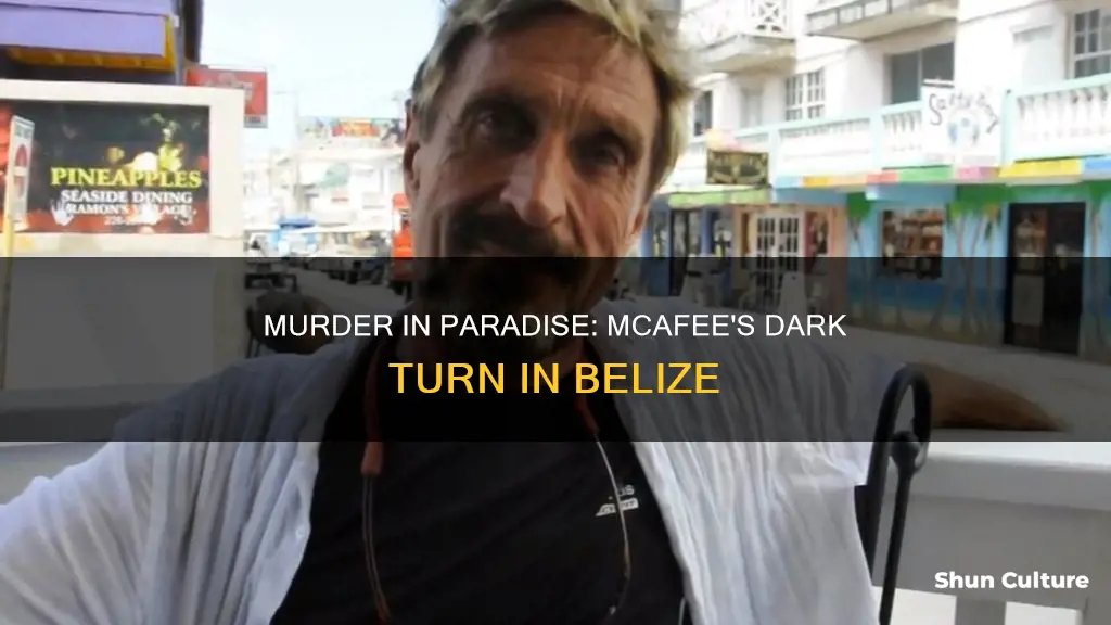 is mcafee charged with murder in belize