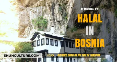 Is McDonald's Halal in Bosnia? Exploring Menu Options and Practices