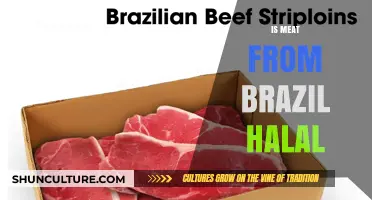 Is Brazilian Meat Halal? Exploring Certification and Practices in Brazil