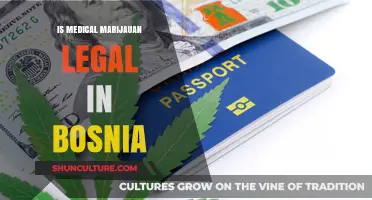 Is Medical Marijuana Legal in Bosnia? Current Laws Explained