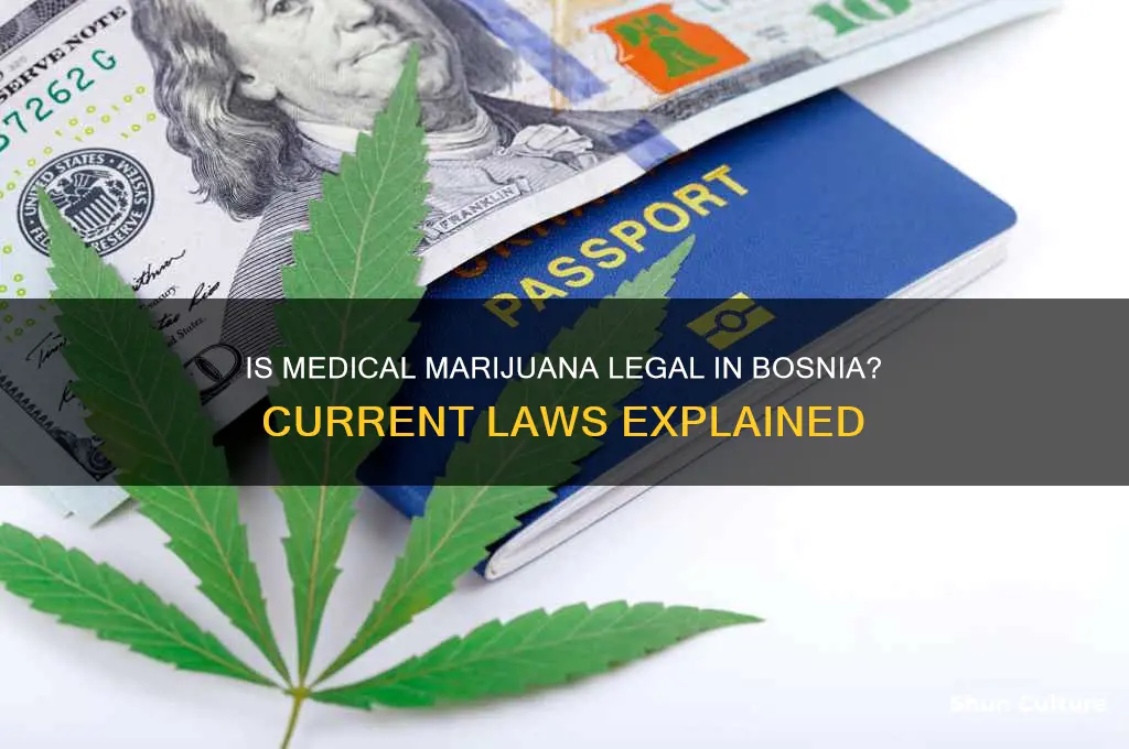 is medical marijauan legal in bosnia
