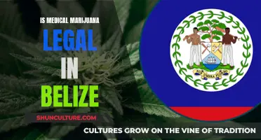 Belize's Approach to Medical Marijuana: A Complex Legal Landscape