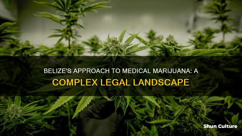 is medical marijuana legal in belize