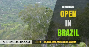 Is Melaleuca Operating in Brazil? Exploring Its Market Presence