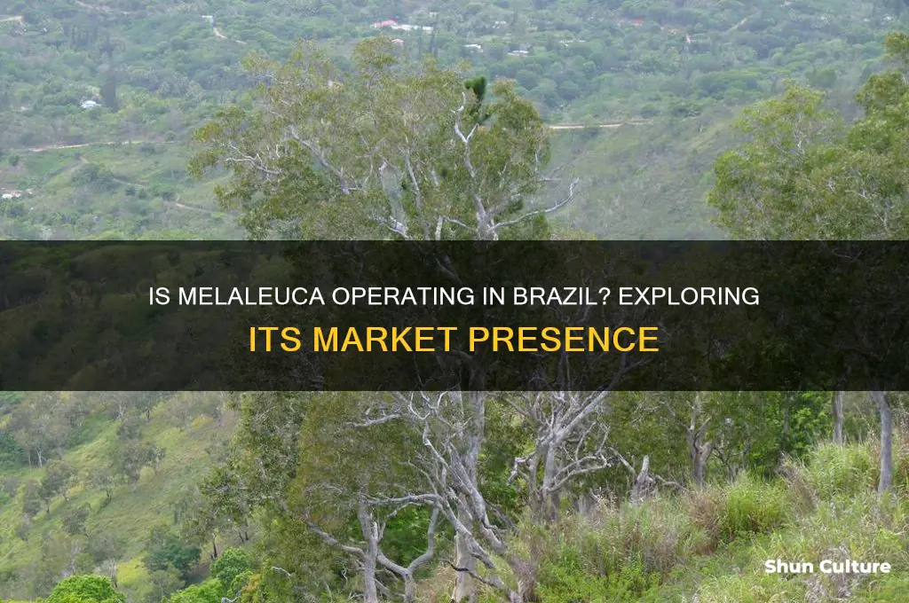 is melaleuca open in brazil