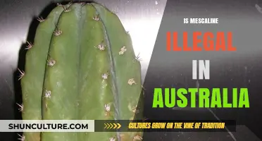Exploring Mescaline's Legal Status in Australia