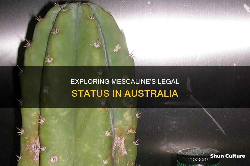 is mescaline illegal in australia