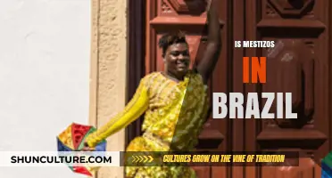 Exploring Brazil's Mestizo Identity: Culture, History, and Diversity
