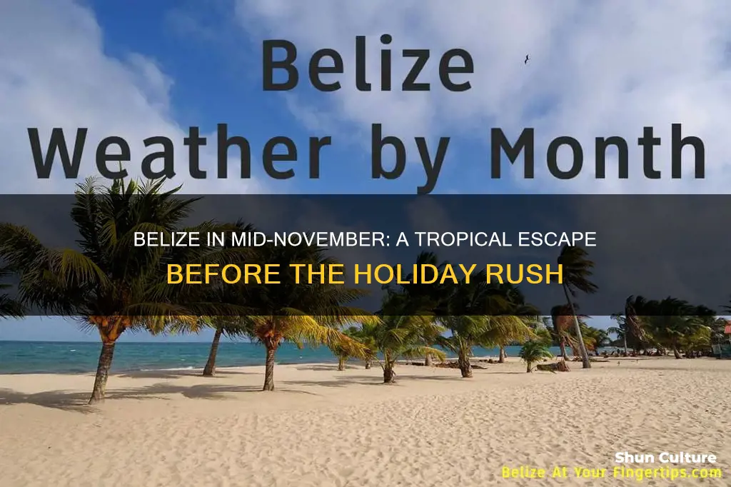 is mid-november a good time to visit belize