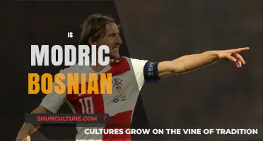 Is Luka Modrić Bosnian? Unraveling the Croatian Star's Heritage