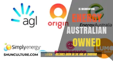 Momentum Energy: Australian-Owned Retailer?
