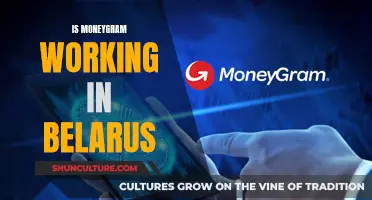 Moneygram's Belarus Operations: Are They Functional?